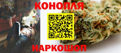 стаф Нальчик
